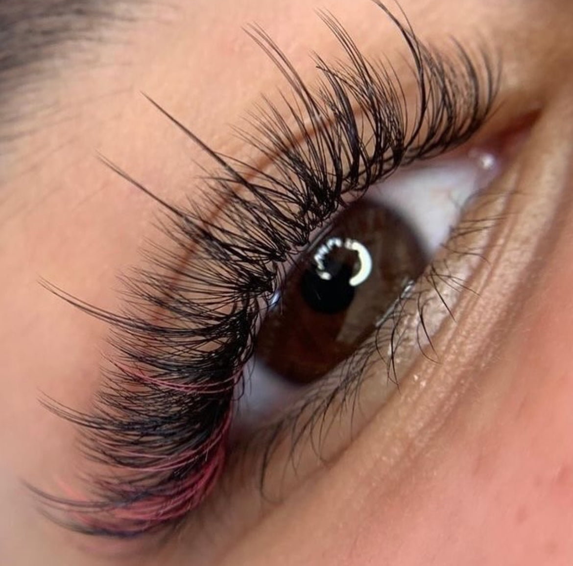 Online-Schulung mit Starter Set für Wimpernverlängerung 1zu1